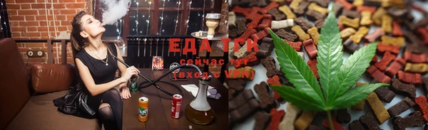 тгк Абаза