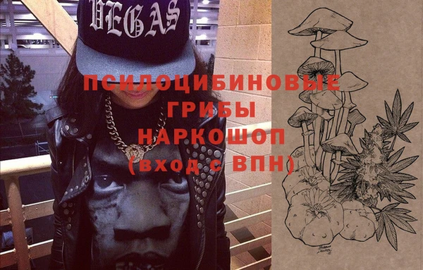МДМА Новодвинск