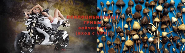 тгк Абаза