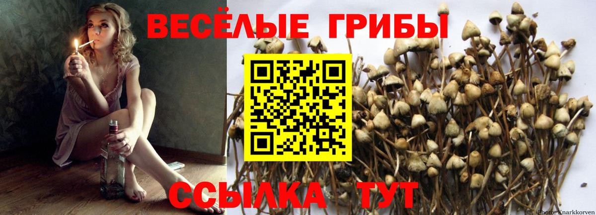 Псилоцибиновые грибы ЛСД Ржев