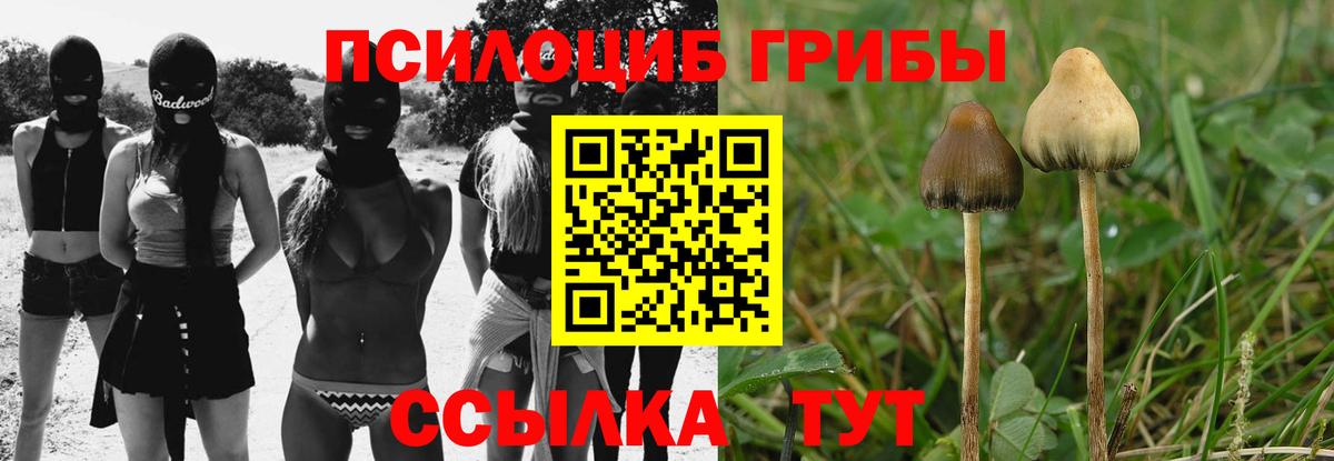 Ржев  Галлюциногенные грибы мицелий  Псилоцибиновые грибы MAGIC MUSHROOMS  Вход с VPN 